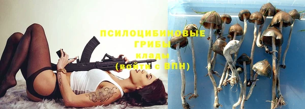 синтетический гашиш Снежногорск